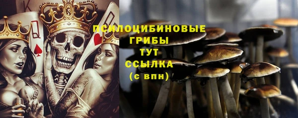 ALPHA-PVP Алексеевка