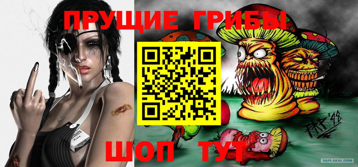 Псилоцибиновые грибы мицелий Сургут