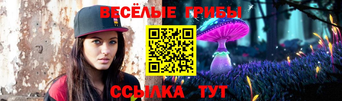 Сургут  Галлюциногенные грибы GOLDEN TEACHER  что такое   Вход с VPN 